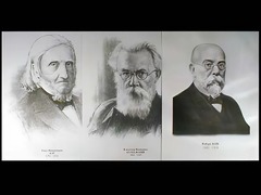 Портреты биологов (26 штук, формат А3) - fgospostavki.ru - Хабаровск