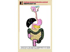 Рельефная таблица "Пищеварительный тракт" (формат А1, матовое ламинирование) - fgospostavki.ru - Хабаровск