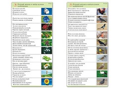Комплект карточек (10) "Обучающий калейдоскоп. Природа" - fgospostavki.ru - Хабаровск
