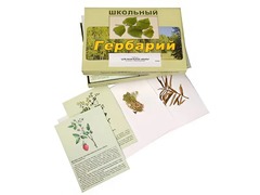Гербарий "Для начальной школы" (30 видов, с иллюстрациями) - fgospostavki.ru - Хабаровск