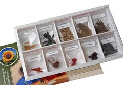 Коллекция "Плоды сельскохозяйственных растений" - fgospostavki.ru - Хабаровск