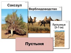 Модель-аппликация "Природные зоны России" (ламинированная) - fgospostavki.ru - Хабаровск
