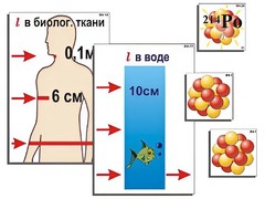 Модель-аппликация "Явление радиоактивности" (ламинированная) - fgospostavki.ru - Хабаровск