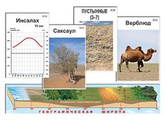 Модель-аппликация "Природные зоны" - fgospostavki.ru - Хабаровск