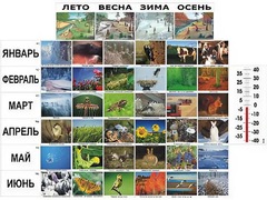 Фенологические наблюдения - fgospostavki.ru - Хабаровск