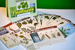 Гербарий к курсу основ общей биологии - fgospostavki.ru - Хабаровск