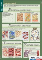 Комплект таблиц. Биология 8-9 класс. Человек. - fgospostavki.ru - Хабаровск