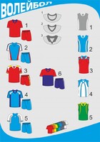 Форма волейбольная с длинными рукавами - fgospostavki.ru - Хабаровск