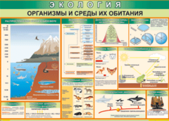 Таблица "Организмы и среды их обитания" (100х140 сантиметров, винил) - fgospostavki.ru - Хабаровск