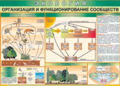 Таблица "Организация и функционирование сообществ" (100х140 сантиметров, винил) - fgospostavki.ru - Хабаровск