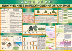 Таблица "Биотические взаимоотношения организмов" (100х140 сантиметров, винил) - fgospostavki.ru - Хабаровск
