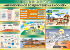 Таблица "Антропогенное воздействие на биосферу" (100х140 сантиметров, винил) - fgospostavki.ru - Хабаровск