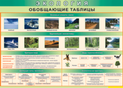 Таблица "Экология. Обобщающие таблицы" (100х140 сантиметров, винил) - fgospostavki.ru - Хабаровск