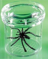 Баночка для изучения насекомых GeoSafari - fgospostavki.ru - Хабаровск