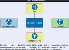 Интерактивные курсы. Биология 5 класс. Базовый - fgospostavki.ru - Хабаровск