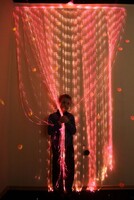 Мерцающий занавес в комплекте с источником света - fgospostavki.ru - Хабаровск