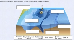 Интерактивные курсы. География 7 класс . Базовый. - fgospostavki.ru - Хабаровск