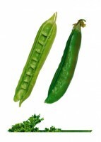 Комплект карточек "Запоминай, играй, считай" -  Овощи - fgospostavki.ru - Хабаровск