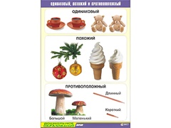 Таблица демонстрационная "Одинаковый, похожий и противоположный" (винил 70x100) - fgospostavki.ru - Хабаровск