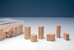 Игровой набор Фребеля "Конструктор" (50 элементов, бук, серия "Красота вокруг нас") - fgospostavki.ru - Хабаровск