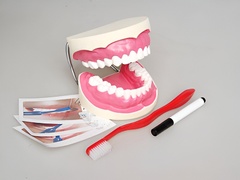 Игровой комплект "Чистим зубы" - fgospostavki.ru - Хабаровск