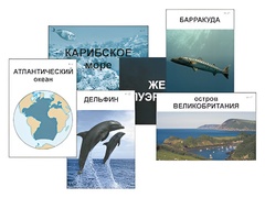 Модель-аппликация "Океаны. Знакомство" (ламинированная) - fgospostavki.ru - Хабаровск
