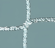 Сетка заградительная (нить 3,5 миллиметров, ячейка 100х100 миллиметров) - fgospostavki.ru - Хабаровск