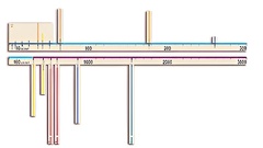 Модель-аппликация "Расстояния во Вселенной" - fgospostavki.ru - Хабаровск