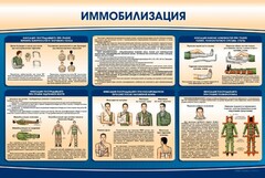 Стенд "Иммобилизация" - fgospostavki.ru - Хабаровск