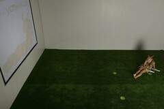 Интерактивная светозвуковая система “Лайт Бим” - fgospostavki.ru - Хабаровск