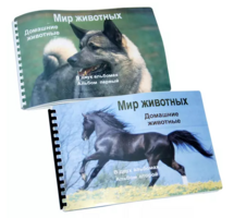 Пособие для слабовидящих - Домашние животные - fgospostavki.ru - Хабаровск