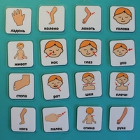 Набор карточек "Части тела" - fgospostavki.ru - Хабаровск