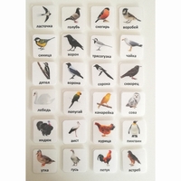 Набор карточек "ПТИЦЫ" - fgospostavki.ru - Хабаровск