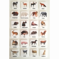 Набор карточек "ЖИВОТНЫЕ" - fgospostavki.ru - Хабаровск