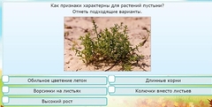 Интерактивные курсы. Окружающий мир 3 класс . Базовый. - fgospostavki.ru - Хабаровск
