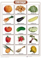 Таблицы "Окружающий мир" (формат А2, ламинированные, 10 таблиц) - fgospostavki.ru - Хабаровск