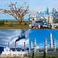 Модель-аппликация Биосфера и человек - fgospostavki.ru - Хабаровск