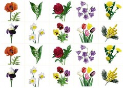 Комплект карточек "Запоминай, играй, считай" - Цветы - fgospostavki.ru - Хабаровск