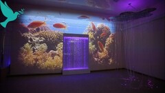 Проекционный дизайн виртуальной реальности Расширеный пакет - fgospostavki.ru - Хабаровск