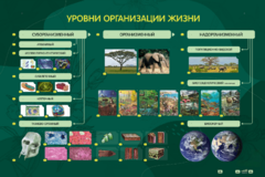 Электрифицированный стенд "Уровни организации жизни" - fgospostavki.ru - Хабаровск