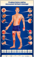 Электрифицированный стенд-тренажер "Травматизм и меры оказания первой помощи" - fgospostavki.ru - Хабаровск