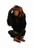 Комплект карточек "Запоминай, играй, считай" - Дикие животные - fgospostavki.ru - Хабаровск