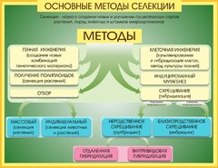 Стенд "Методы селекции и биотехнологии" - fgospostavki.ru - Хабаровск