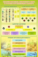 Стенд "Классификация животного мира" - fgospostavki.ru - Хабаровск