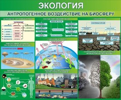 Стенд "Экология. Антропогенное воздействие на биосферу" - fgospostavki.ru - Хабаровск