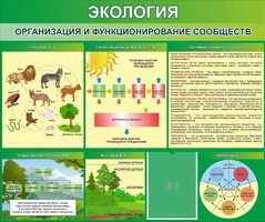 Стенд "Экология. Организация и функционирование сообществ" - fgospostavki.ru - Хабаровск