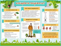 Стенд "Клещевой энцефалит" - fgospostavki.ru - Хабаровск