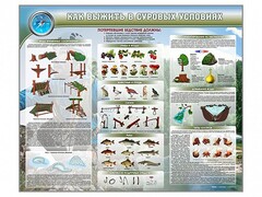 Стенд "Как выжить в суровых условиях" - fgospostavki.ru - Хабаровск
