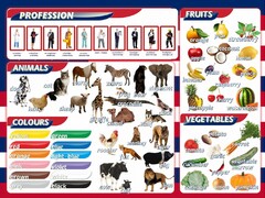 Стенд "Цвета, животные, профессии, фрукты, овощи" - fgospostavki.ru - Хабаровск