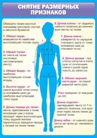 Стенд "Снятие мерок" Вариант 2 - fgospostavki.ru - Хабаровск